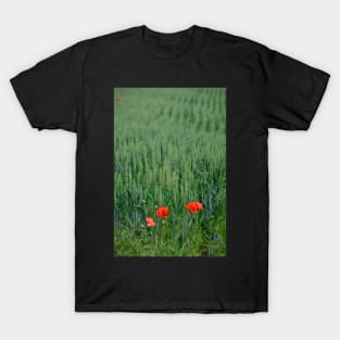 Poppies in Wheat Field T-Shirt